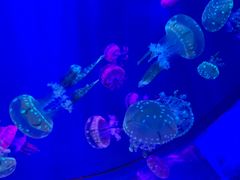 -多彩贵州城极地海洋世界