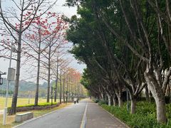 -顺峰山公园