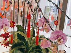 -THE PAWON·8碗(古北SOHO店)