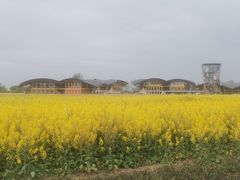 -中国天府农业博览园