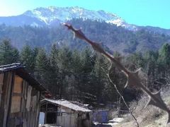 -硗碛藏寨·神木垒景区