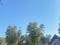 -太阳岛度假酒店