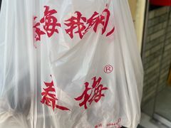 -春梅里卤鹅馆·47年老字号(中山路店)