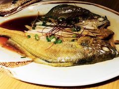 昆布蒸黄鱼-三石铁板烧(紫竹桥店)