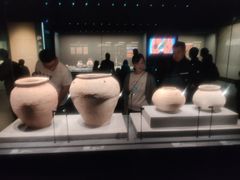 -广西壮族自治区博物馆