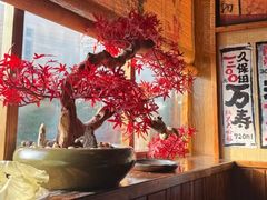 -鸟鹏烧鸟居酒屋(龙岗万科店)