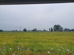 -中国天府农业博览园