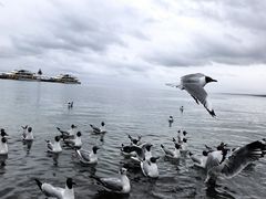 -青海湖二郎剑景区