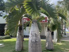 -亚龙湾中心广场