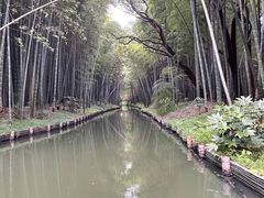 -同里国家湿地公园