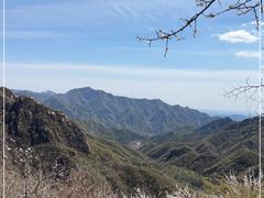 -大岭沟猕猴桃谷风景区