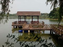 -上海市保健医疗中心(华东疗养院)