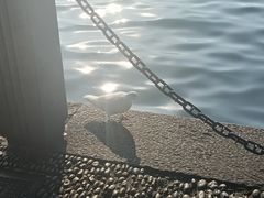 -西湖天地