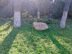 -黑龙江省森林植物园