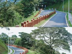 -黄埔油麻山森林公园