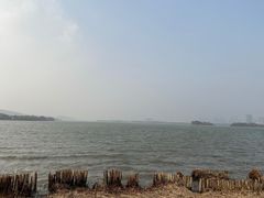 -长广溪湿地公园