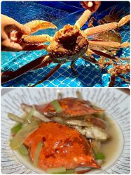 -曼格纳婚礼艺术中心(张江店)