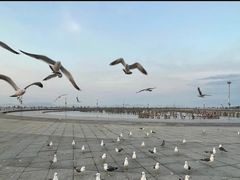 -东港音乐喷泉广场