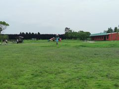 -上海都市菜园