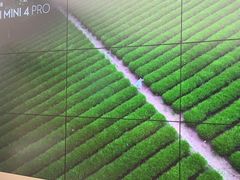 -DJI大疆(福州万象城授权体验店)