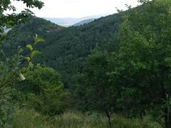 -玉泉威虎山森林公园