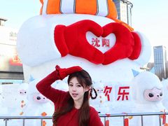 -盛京大奥莱(沈阳奥体店)