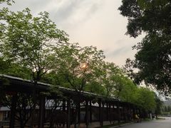 -南丹山森林王国