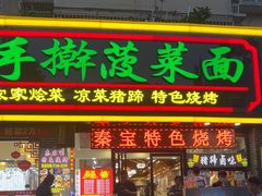 -秦君宝手擀菠菜面(金花路店)