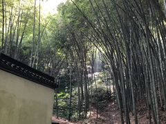 -杭州黄龙洞