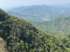 -午潮山国家森林公园