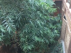 -聚缘堂·海鲜私房菜(松岭路店)