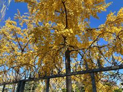 -济南国际园博园