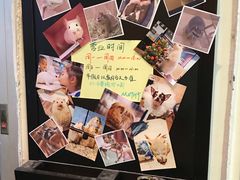 -藦茜花园宠物主题亲子互动体验馆(国顺东路店)