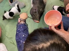 -藦茜花园宠物主题亲子互动体验馆(国顺东路店)