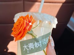 -大青树咖啡(大理古城店)