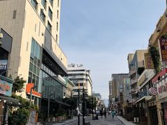 -宝健路步行街(Pedestrian Shopping Street)