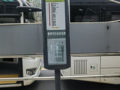 -洋洋锅贴