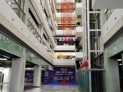 -猫域·湾主题猫咖·宠物吧(南坪城市广场店)