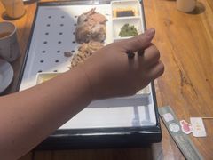 -百年吾吾子手抓肉羊羔肉(山西巷大巴扎店)
