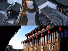 -上海野生动物园