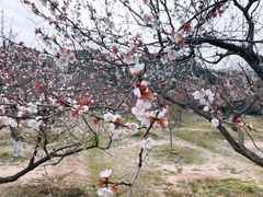 -白马涧龙池景区