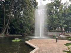 -九龙公园