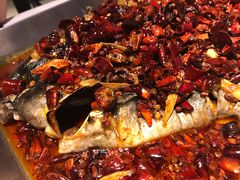 -鱼酷活鱼烤鱼(恒隆广场店)