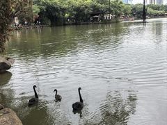 -珠海圆明新园