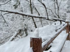 -九峰山