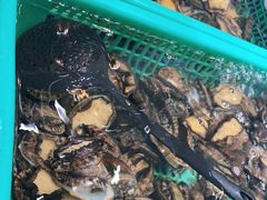 -丰卓会海鲜自助(中润大道店)