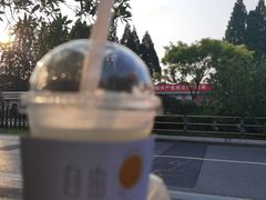 -THE PRESS(复旦大学店)