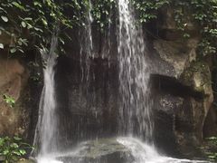-南山植物园