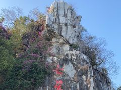 -星湖旅游景区七星岩