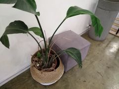 -Hello·生日蛋糕·下午茶·甜品台茶歇(瑞安东山店)